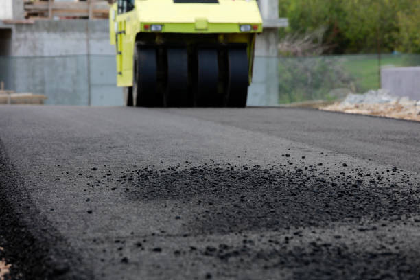 Best Concrete Paver Driveway  in La Paloma, TX