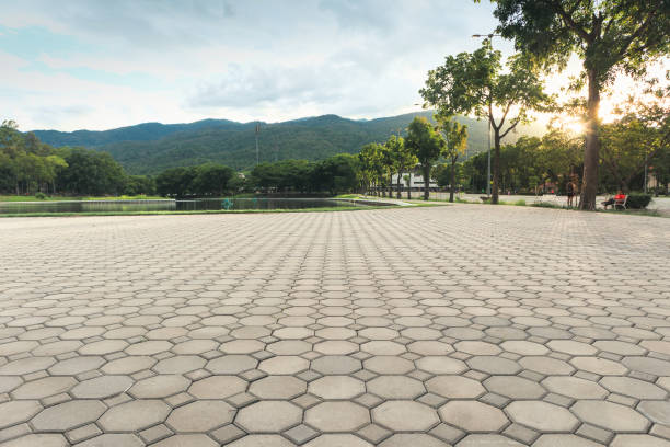 Best Interlocking Driveway Pavers  in La Paloma, TX